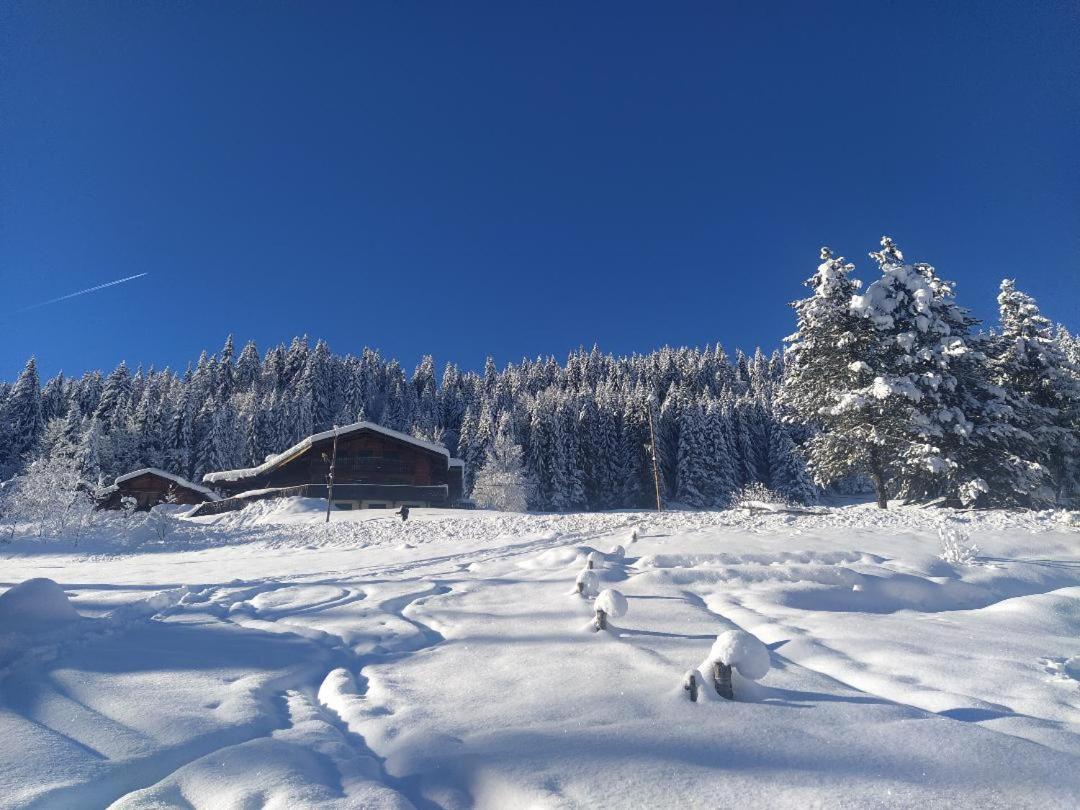 Chalet Lisa มอร์ซีน ภายนอก รูปภาพ